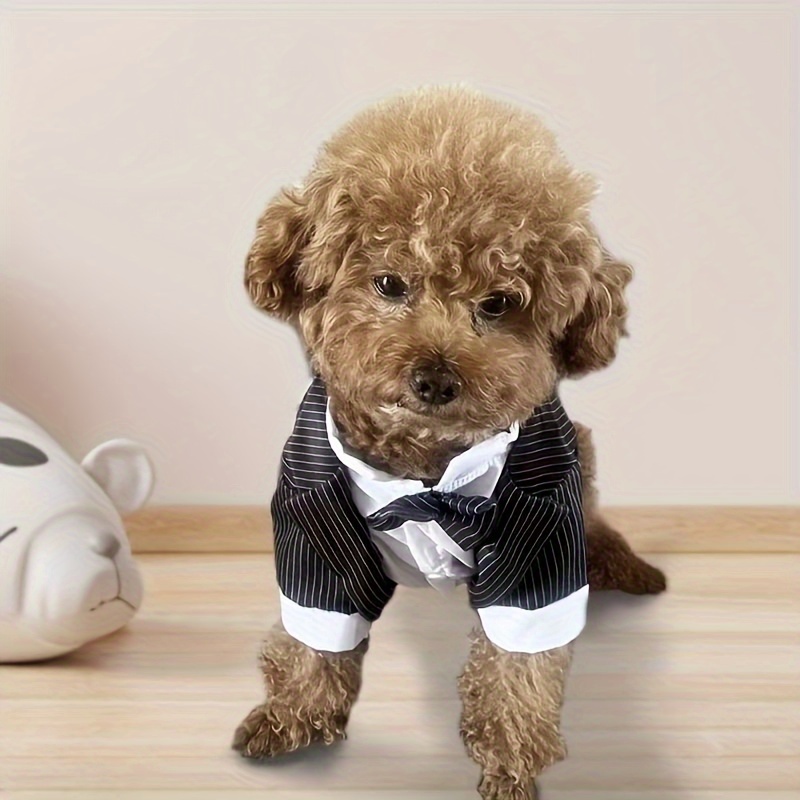 formal dress for dogs Parisian Pet main image 0
