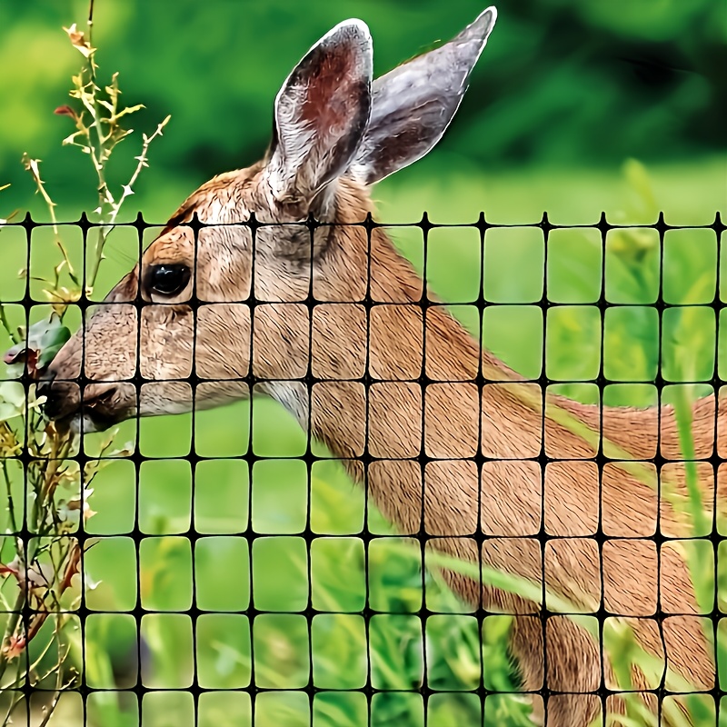 

Filet de Jardin Noir PP aux UV - aux Déchirures & Réutilisable pour la Protection des Cerfs, des Taupe & des Oiseaux