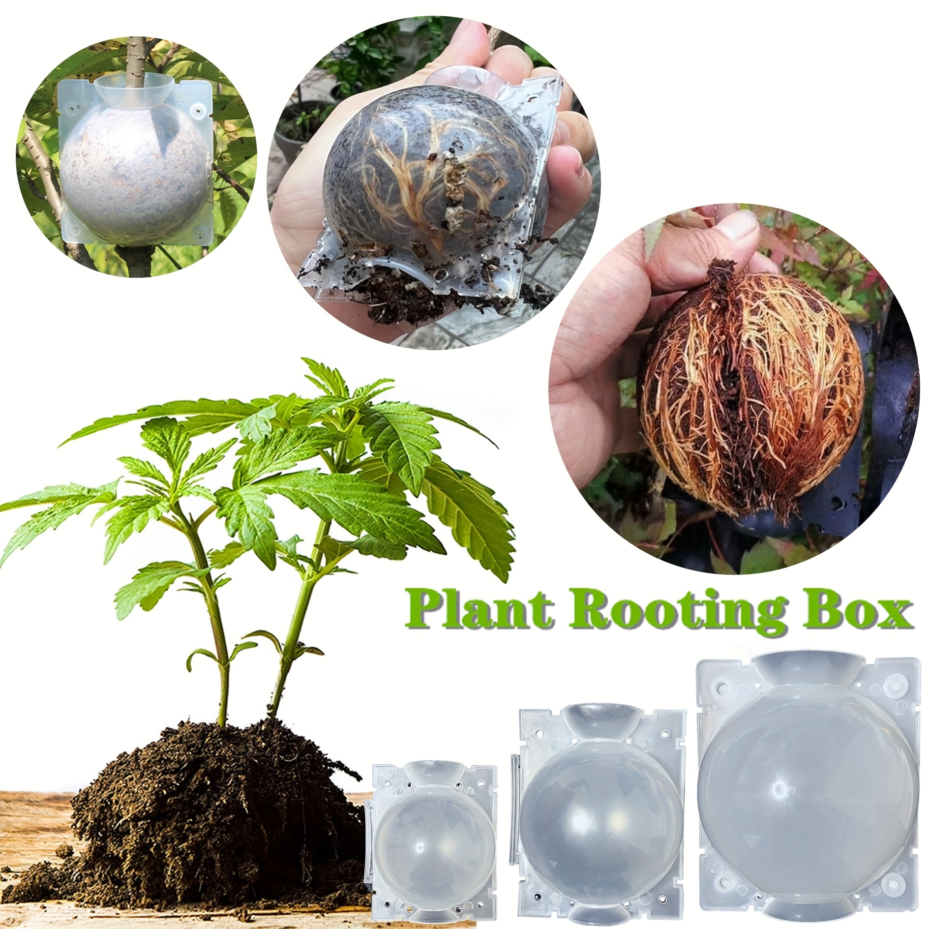 Artikelbild 4 stück mehrfachgrößen luftschichtungswurzelwerkzeug –   für rosen,   hortensien – vermehrungsset – stück/ ,97 zoll / 3,15 zoll / 4,72 zoll – hergestellt aus   pp-material,    , wiederverwendbar, einfach zu bedienen, hohe wurzelbildungsquote, ideales werkzeug für