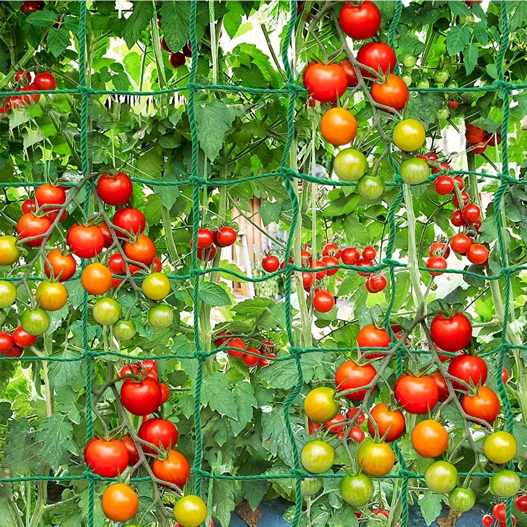 

1-pack Durable Pp Garden Netting For Climbing Plants - Perfect For Supporting Veggies, Vines & Flowers In Gardens