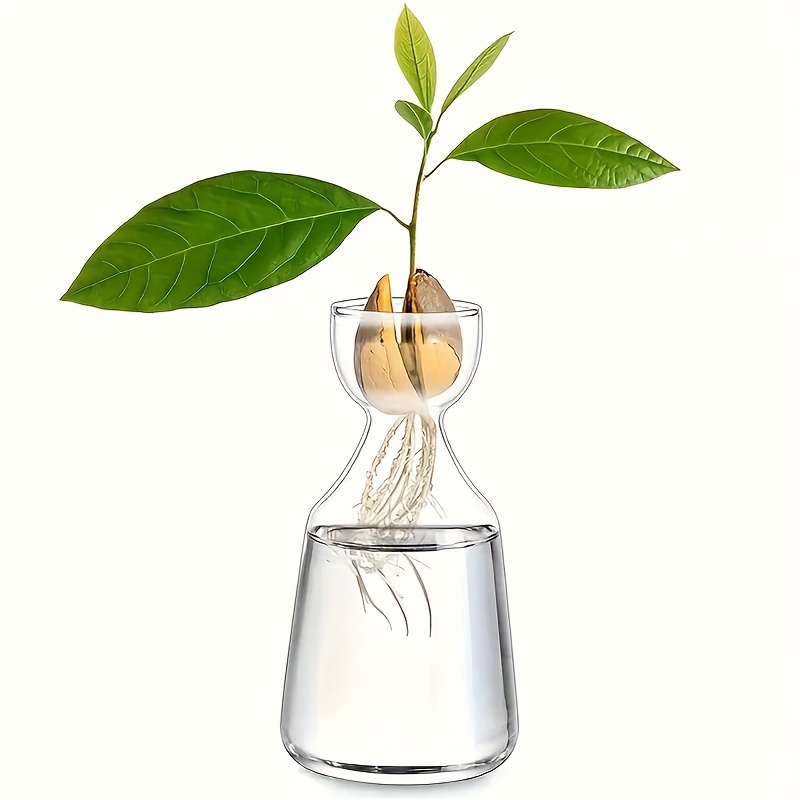 

1pc Avocado Seed Germination Kit - Round Glass Hydroponic Vase With Automatic Watering Stand, Ideal For Indoor & Outdoor Sprouting, Decor