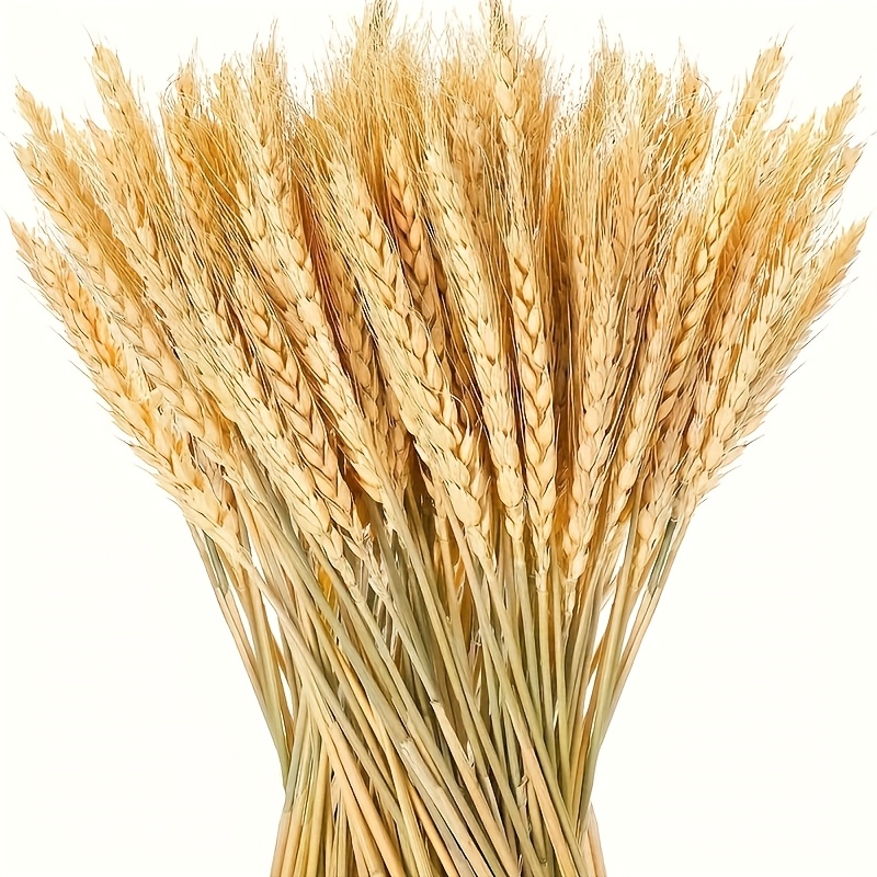 112pcs Of Dried Wheat Stalks For Decoration, Natural Bunches Of Grass Flowers Suitable For Home, Wedding, Table, Kitchen, And Boho Farmhouse Spring Arrangements