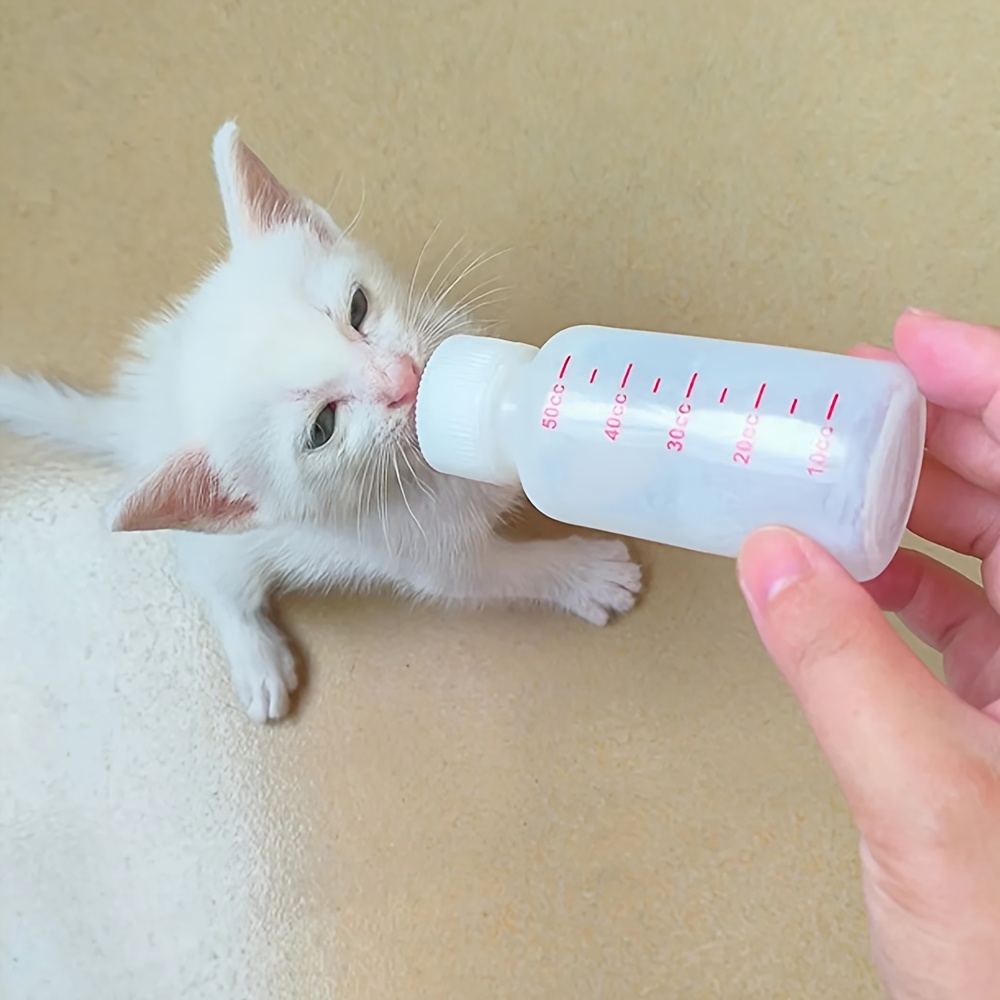 Newborn Kitten and Puppy Feeding Set - Soft Pet Feeding Bottle with Transparent Case, Clean and Portable