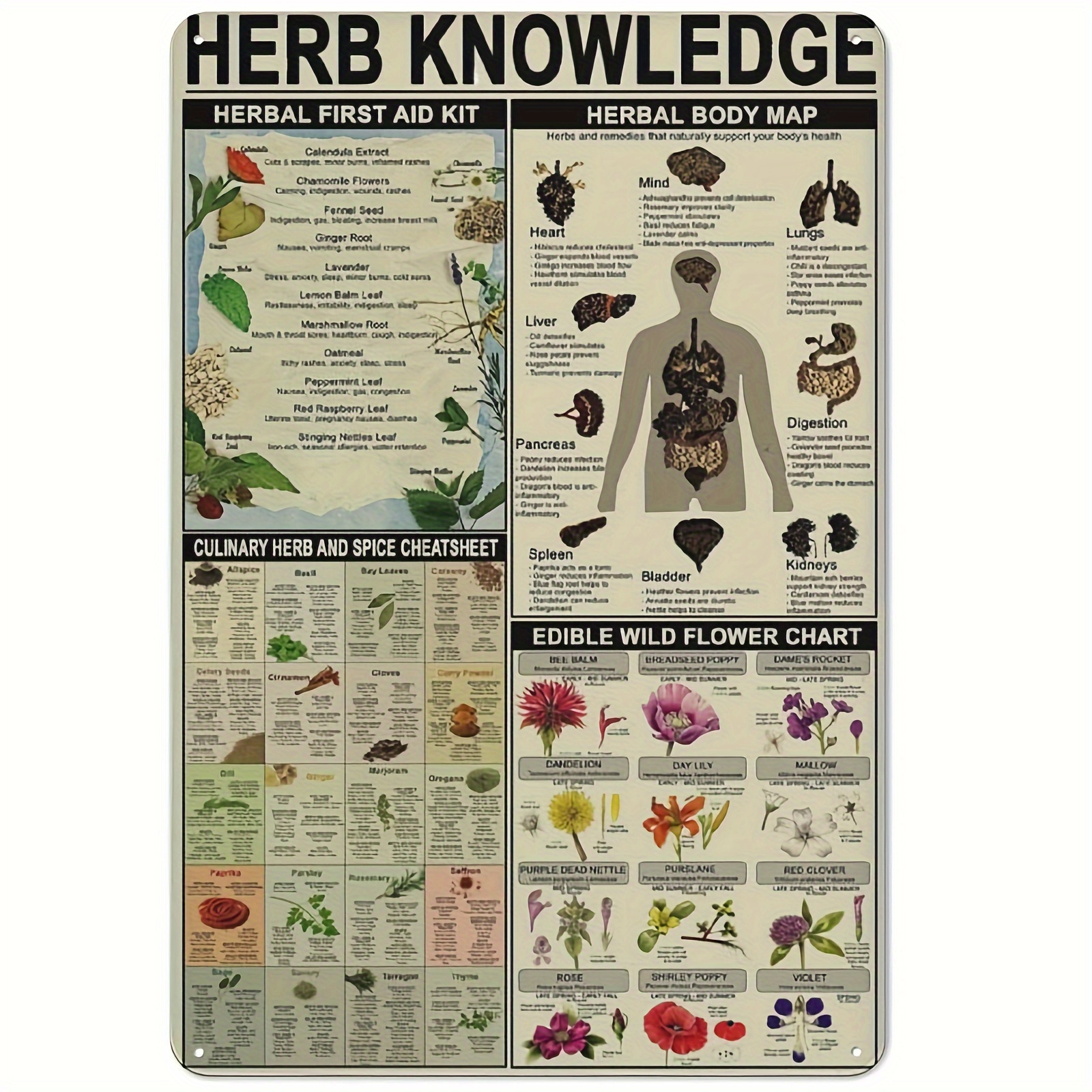 

1pc Herb Knowledge Metal Tin Sign Herbal Kit And Body Map And Edible Wild Flower Chart Artwork Poster School Office Farm People Cave Bedroom Livingroom Vintage Funny Plaque Decoratio 8x12in