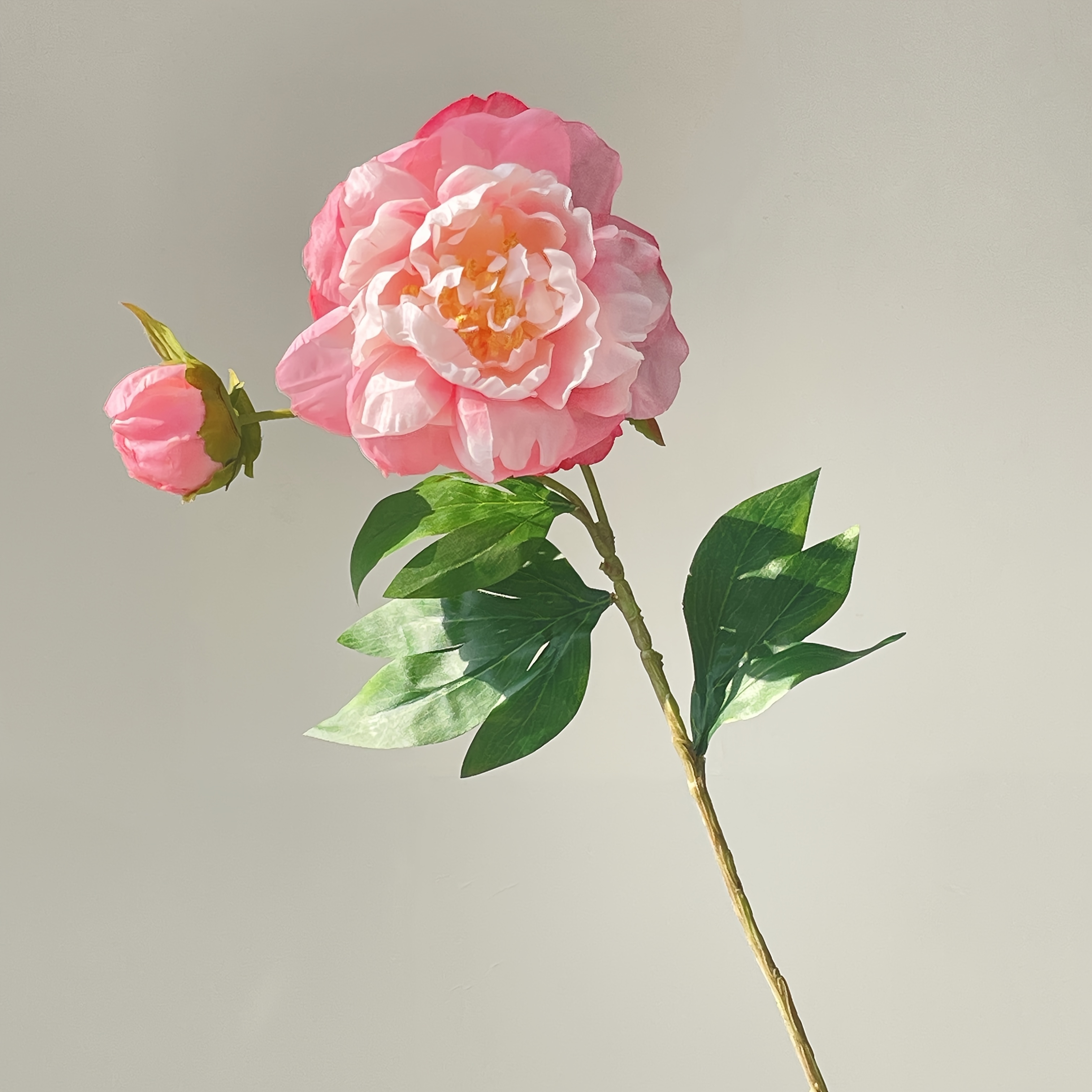 TEMU 1pc, Single Stem Single Bloom Silk Peony Artificial Flowers, Bent And Does Not Fade - Used For Diy Flower Wall, Scene Layout, Living Room And