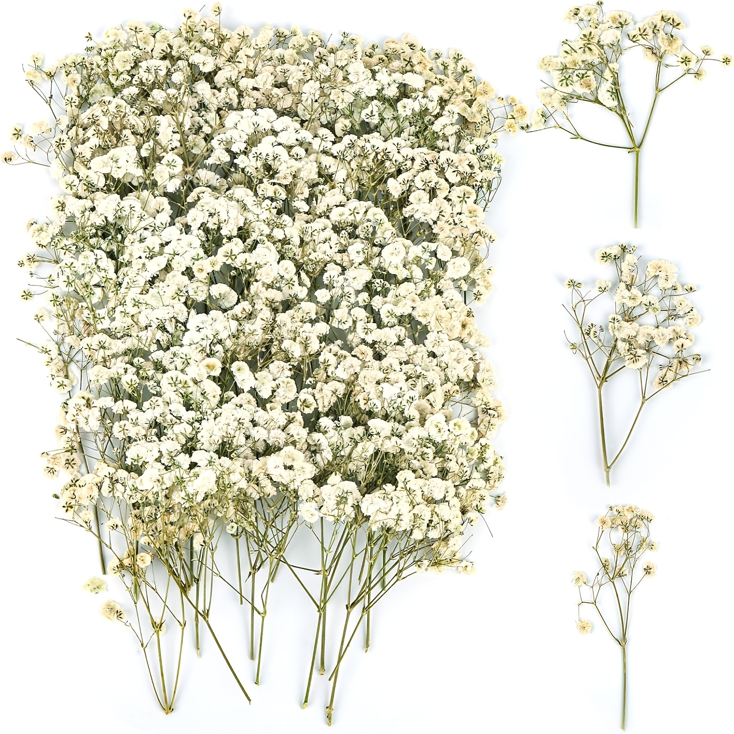 E-shop Packung mit 110 getrockneten Gypsophila-Blumen, Gypsophila, getrocknete Blumen für Bastelarbeiten, kleine getrocknete Blumen für DIY-Fotorahmen,