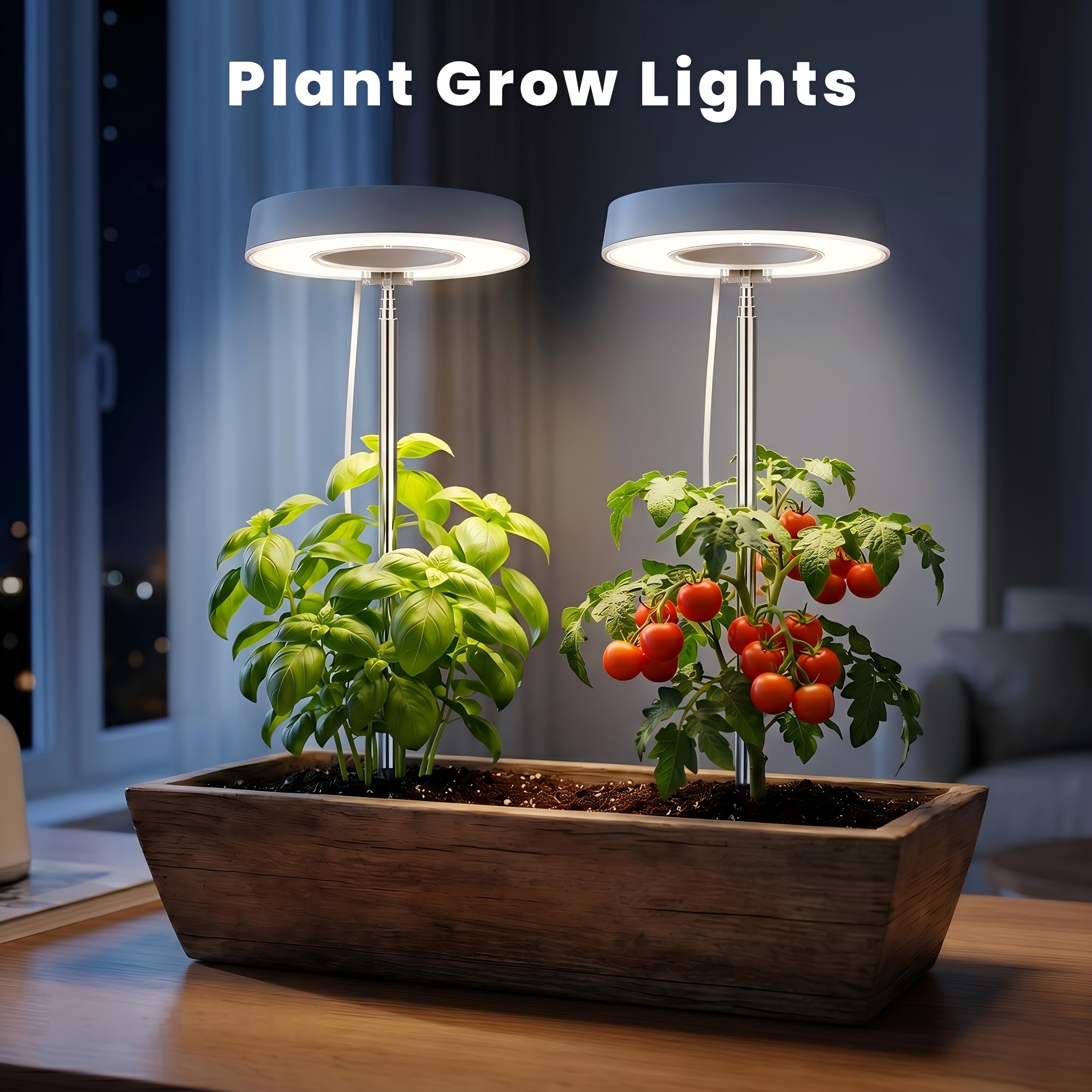 mass cane house plants Dracaena massangeana – Mickey Hargitay Plants