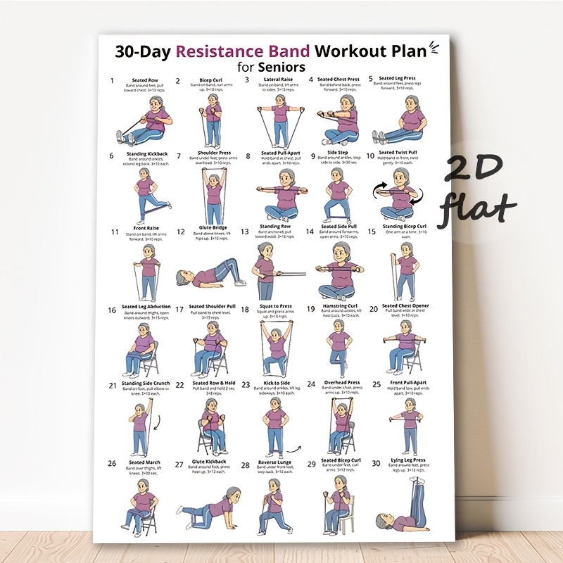 TEMU 2d Flat, Elderly Seated Resistance Band Workout Chart Poster - Low-impact Daily Exercise Guide With Resistance Band Exercises For Seniors, Home