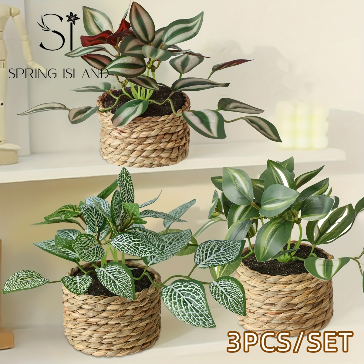 3 piezas/set Planta Artificial de Helecho de Ratán con Bola de Hierba, Planta Tropical Simulada con Maceta, Orquídea de Bambú Colgante con Vena Blanca, Decoración de Peperomia, Zebrina, Inchplant, Peperomia, Fittonia, Verde, Material PE, Fibra de Poliéster, Venta al por Mayor, Flor Artificial