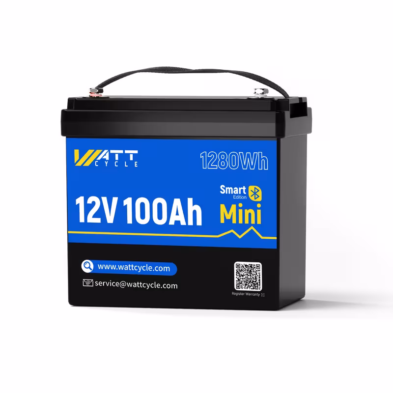 buy ten free eleven total black friday battery deals 12v 100ah mini lifepo4 lithium battery compact lightweight long lasting cycles built in 100a bms low temp protection storage rv 12 8v100ah mini 0
