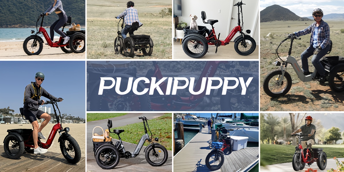 dual battery   with 110   range rear high power brushless motor 48v 15ah 18ah removable battery 500lb load capacity 20 tires and large basket suitable for fishing traveling essential for elderly travel   plus Product details 1