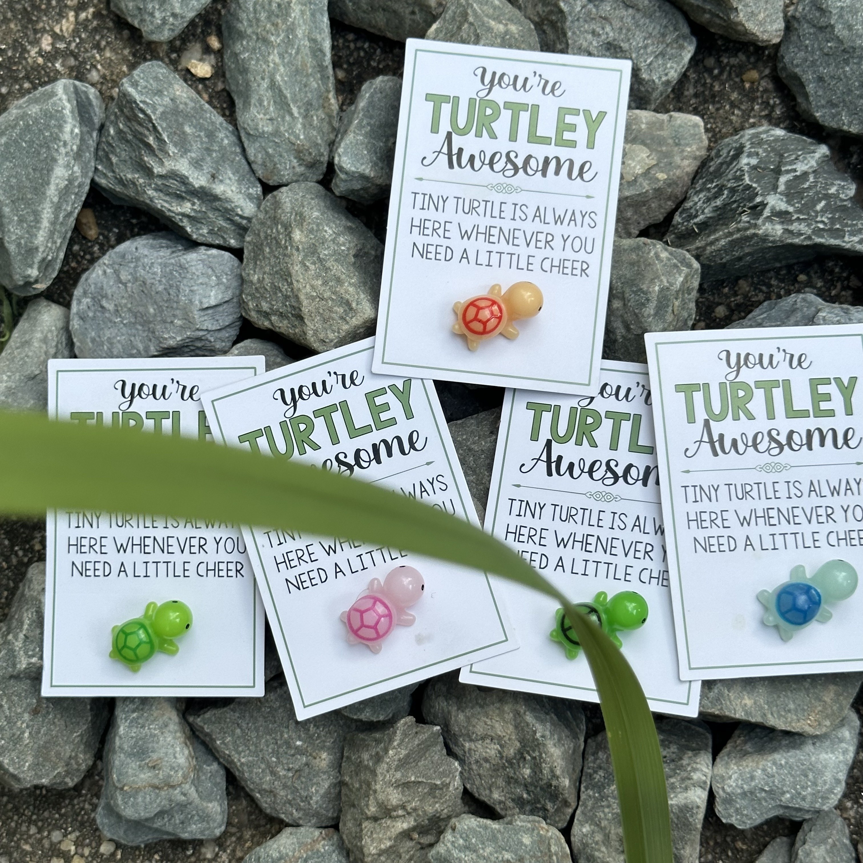 

10pcs 2 Of Each Of The 5 Colors - Mini Turtle Hug Cards With An Inspiring "you're Awesome As A Turtle" Message - Perfect For Valentine's Day, Graduation, Homecoming Gifts For Friends And Family