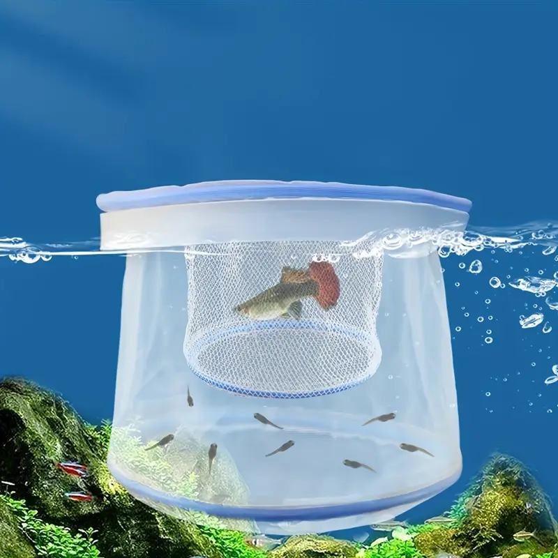 breeding net fish Marina Breeder you need to assemble the breeder together Fish Breeding Nets in Bengaluru,