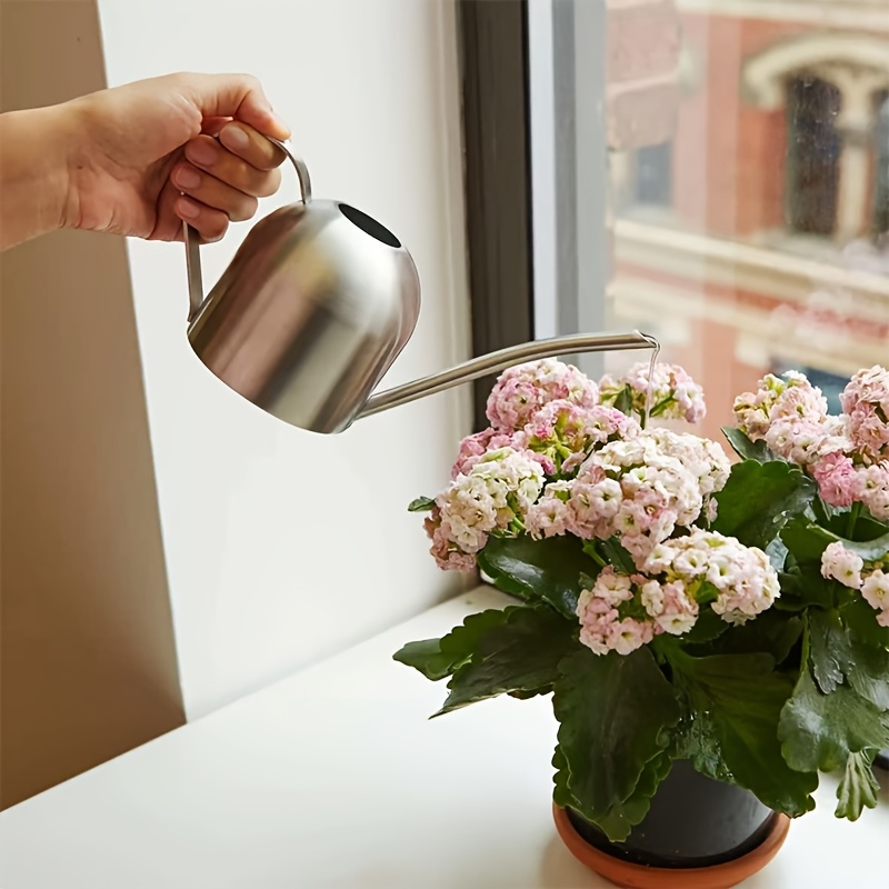 Image of Stainless Steel Watering Can (450ml/15oz) Small Long Spout Watering Can