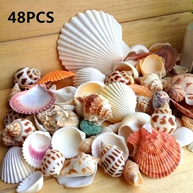 48pcs Beach Seashells Bulk Bag, Assorted Ocean Conch Craft Shell Supplies For Aquarium Landscaping, Diy Resin Crafts, Coastal Home Vase Filler Decor