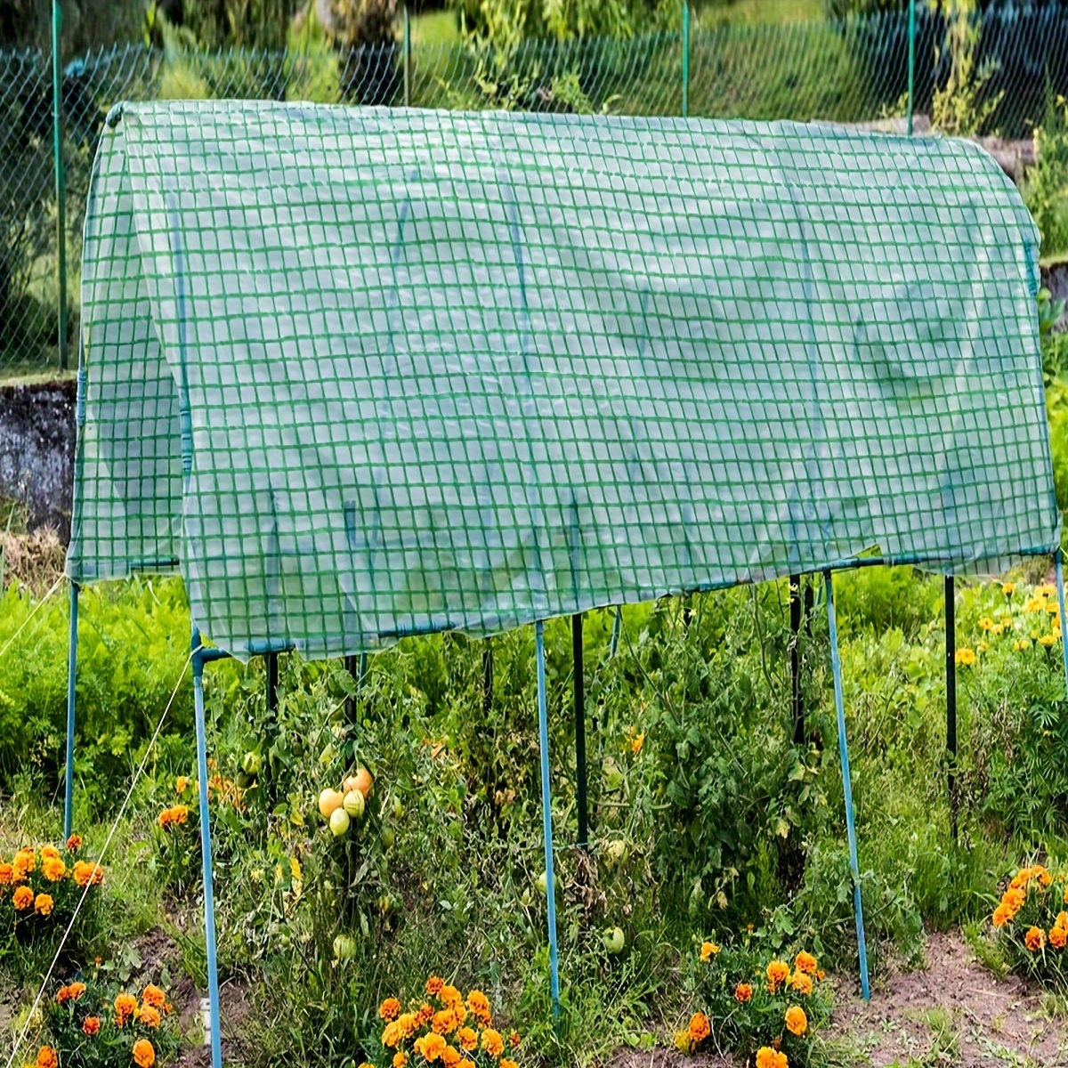Lona PVC Impermeable Verde | Lona Ojal Cada 25CM 650g/m² | Cubierta