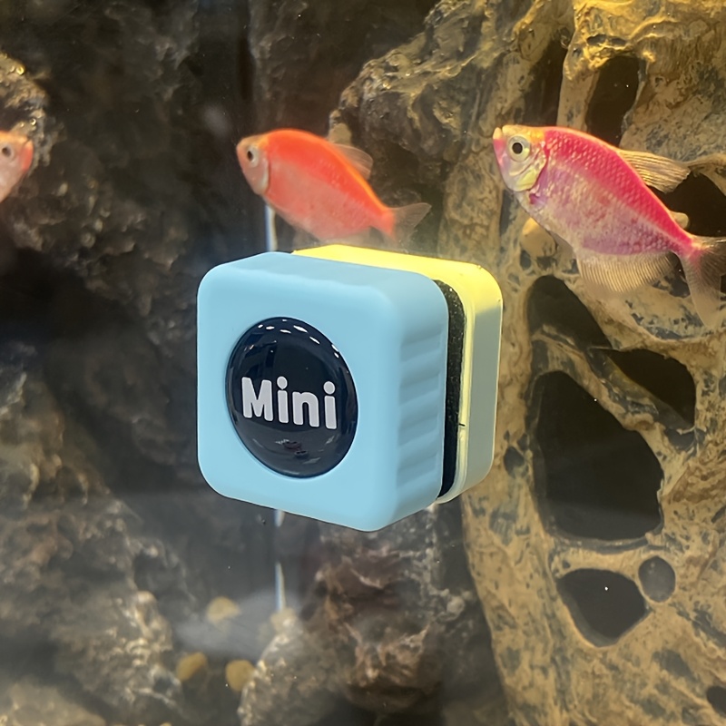 A Magnetic Brush for Aquariums, a Glass Algae Scraper, a Mini Cleaner for Curved Glass, And a Magnet for Cleaning Fish Tank Glass.