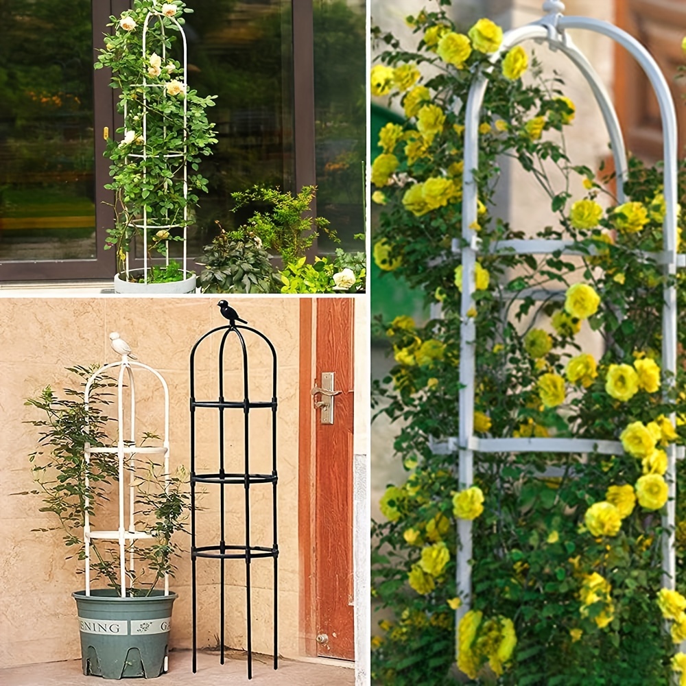 Garden Obelisk Trellis Image 2
