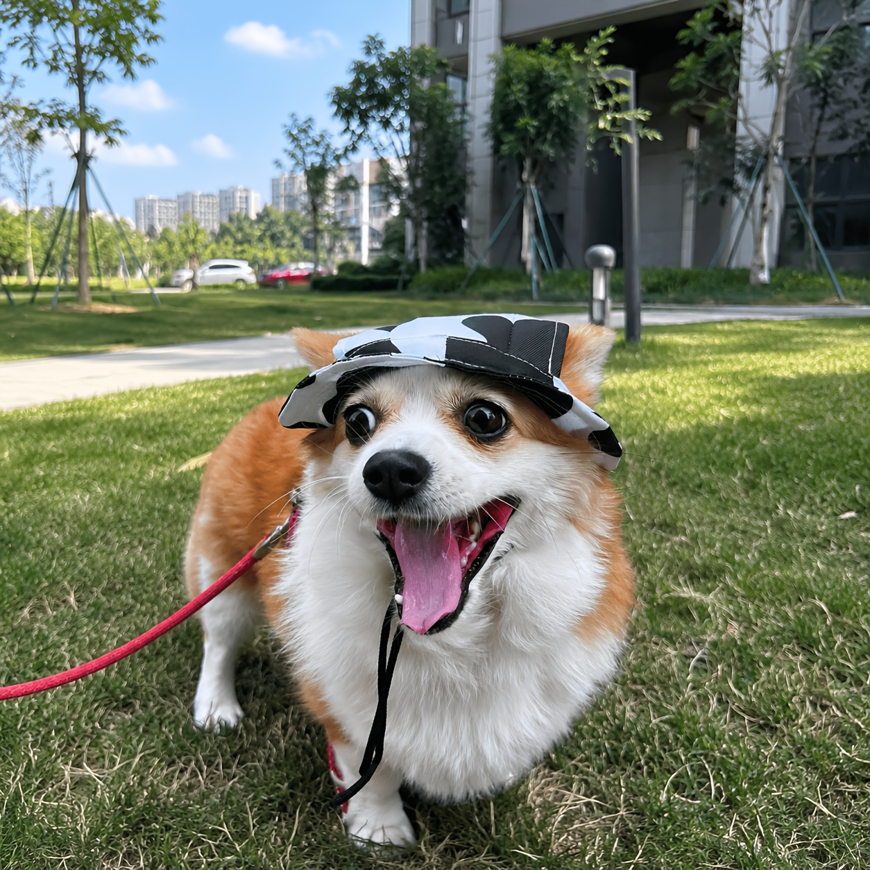   anti choking hat with adjustable strap ear exposing design fishermans cap pet headwear sun protection hat for summer Product details 0