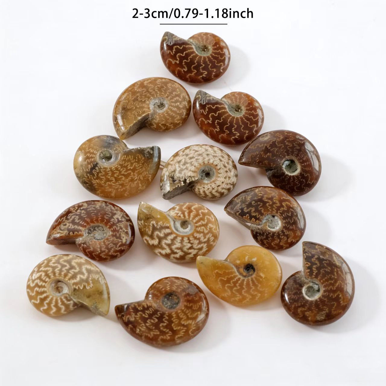 Hand-Carved Natural Chrysanthemum Stone, Seashell-Shaped Decoration