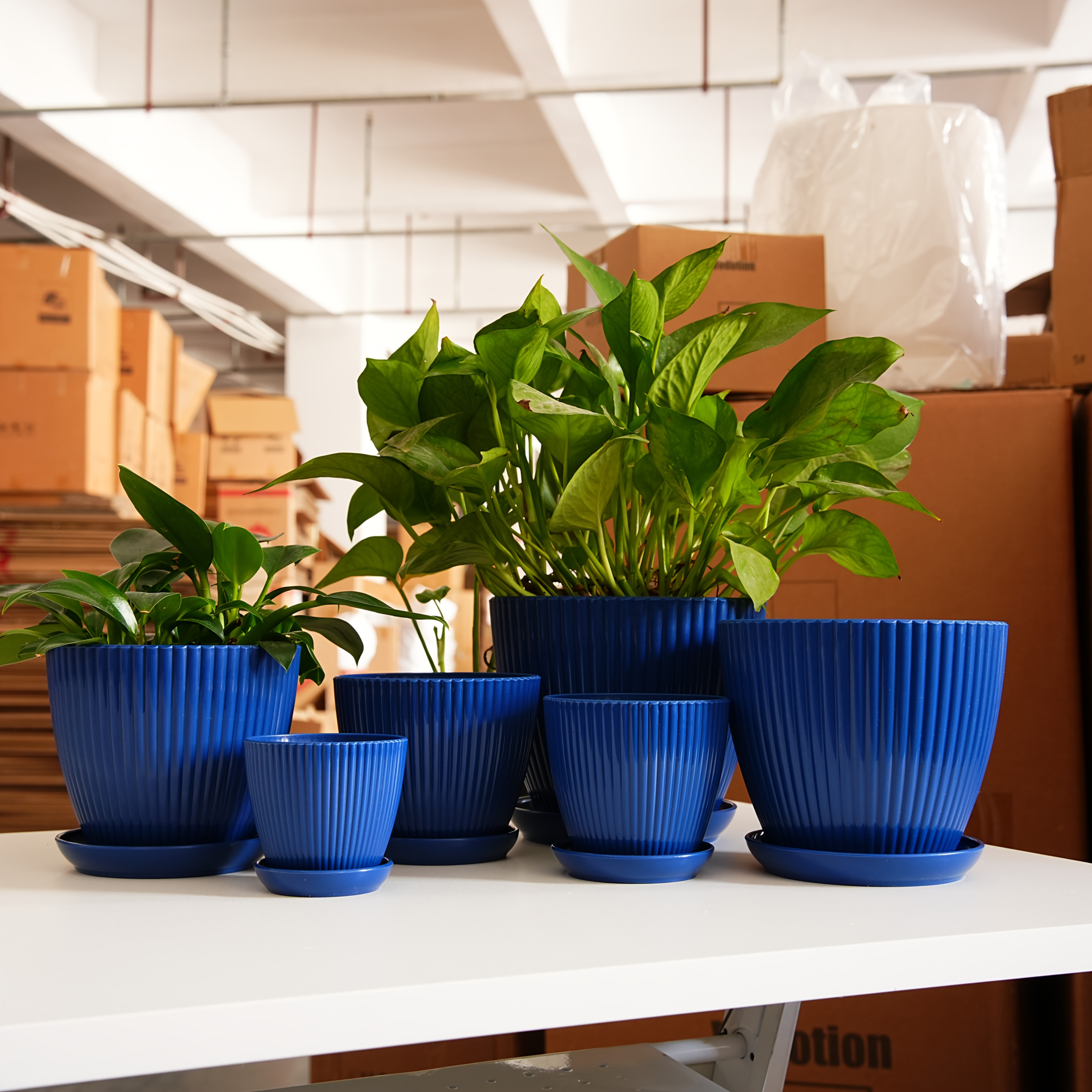 6pcs Plant Planters with Drainage Holes And Trays Pack Of 6 Plant Pots  7.5/6.6/5.8/5.0/4.3/3.5 Inches Flowers Pots, 6pcs