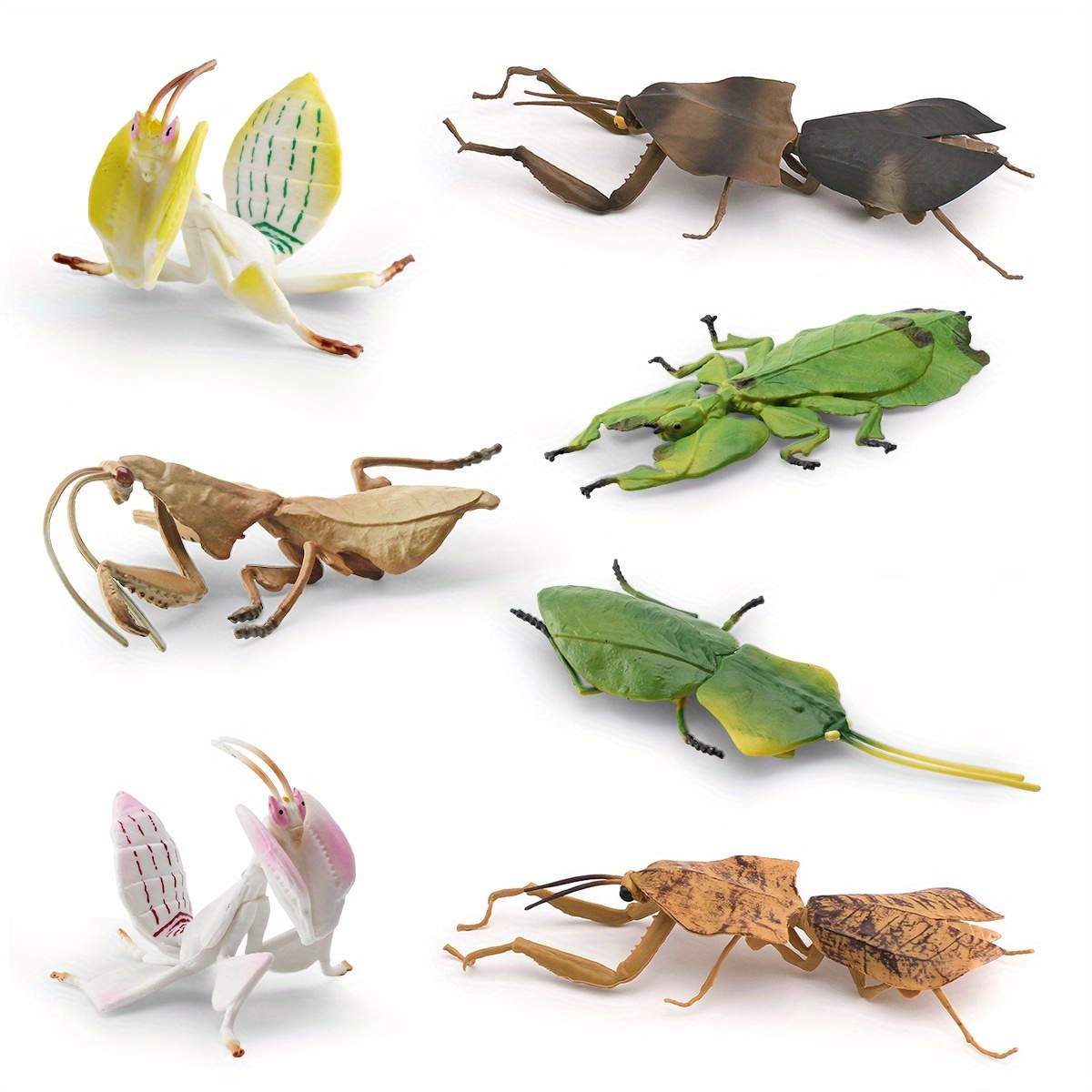 Insect Animal Models Educational Toys