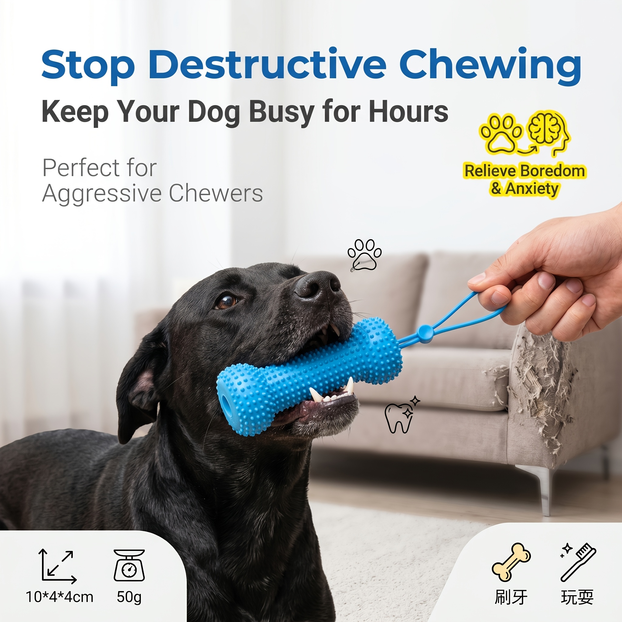 pet   and chew stick chew resistant dog teeth brush for cleaning   tied to dogs mouth to help   prevent scratching dog   stick dental cleaning and brushing in one suitable for small to large dogs Product details 6