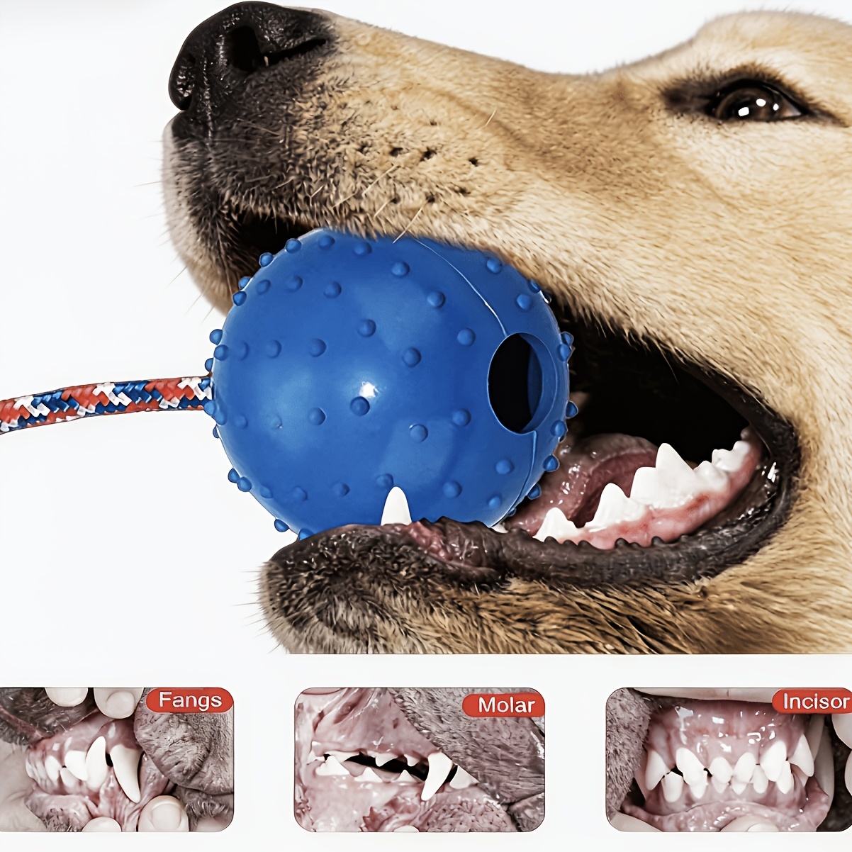 4pcs Dog Leash Feeding Natural Rubber Toy Balls, Bite-Resistant