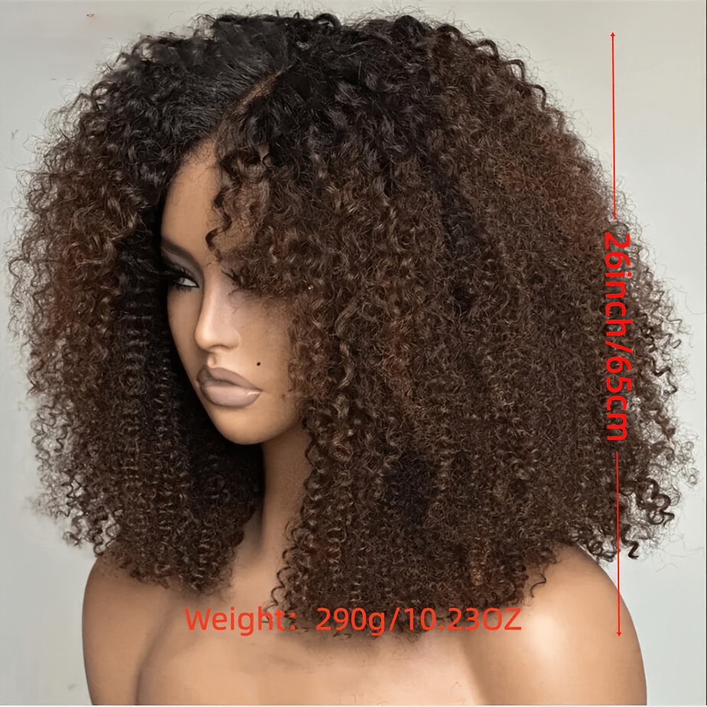 Image of Soft Ombre Brown 26-inch Lace Front Wig With 180 Pre- Baby Hairs, Ideal For Daily Women