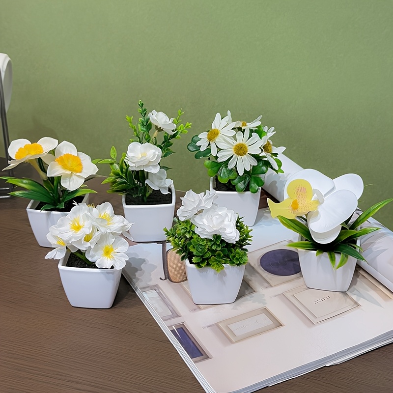 thuja 200 uses Similia Thuja Dilution – PUSHMYCART main image 1