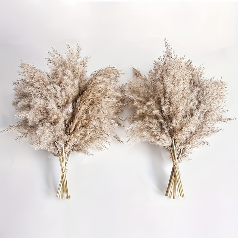 Image of 24pcs Dried Flower Bouquet - Pampas Grass, Floral Decor For Home, Wedding, And Boho Style | Perfect For Vases, Fall, Spring, Summer, And Winter Arransynthetic Gemstoneents