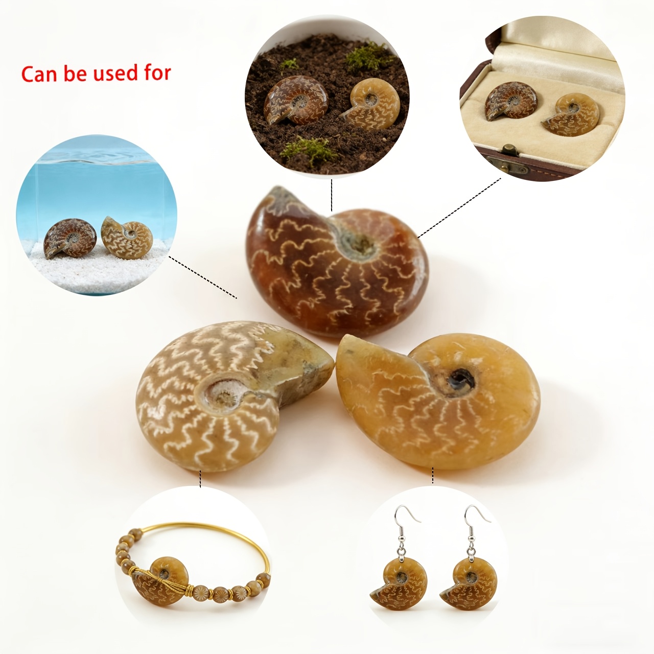 Hand-Carved Natural Chrysanthemum Stone, Seashell-Shaped Decoration