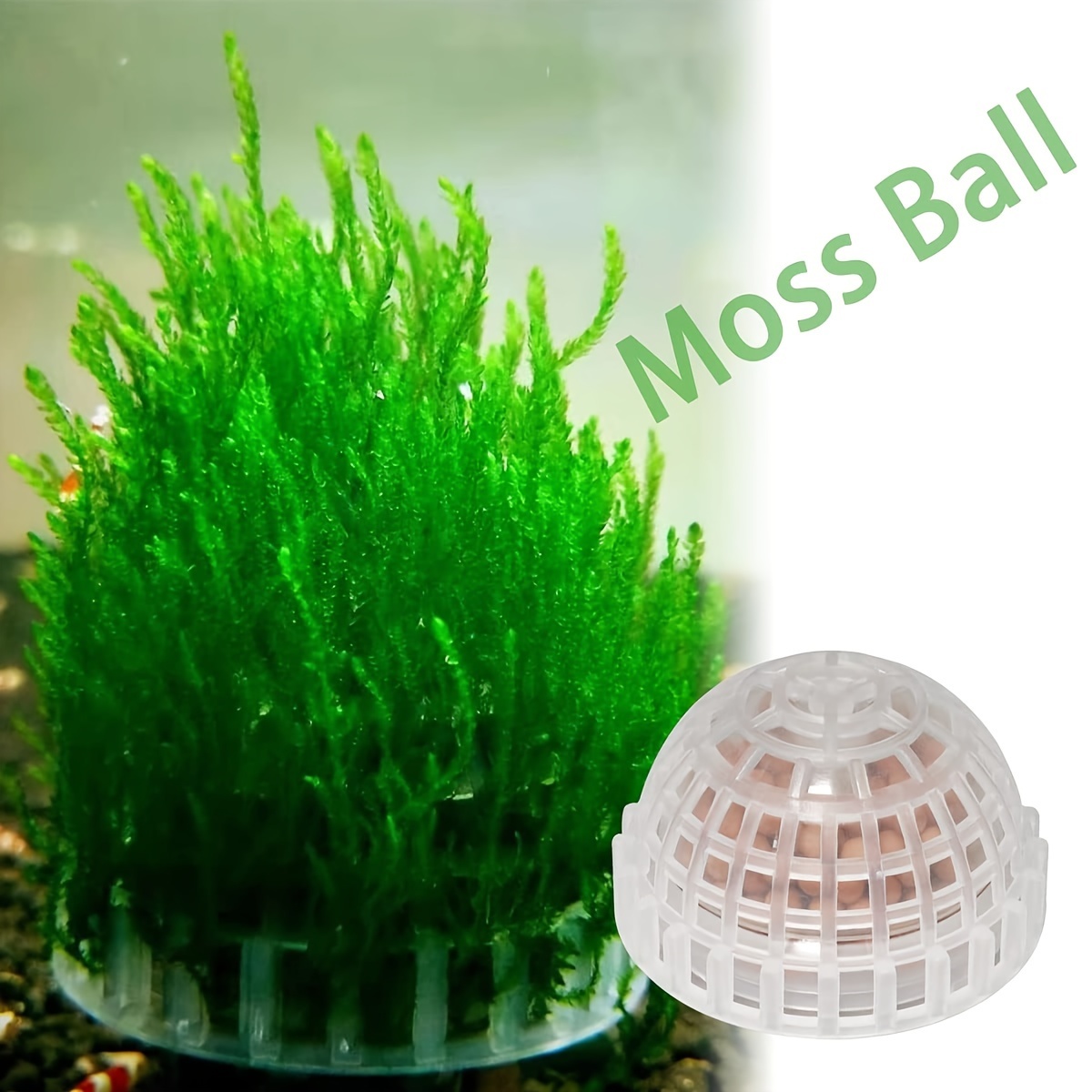 Aquatic Pet Supplies Decorations Aquarium Moss Ball Live Plants Filter Pet  Decor, Today's Best Daily Deals