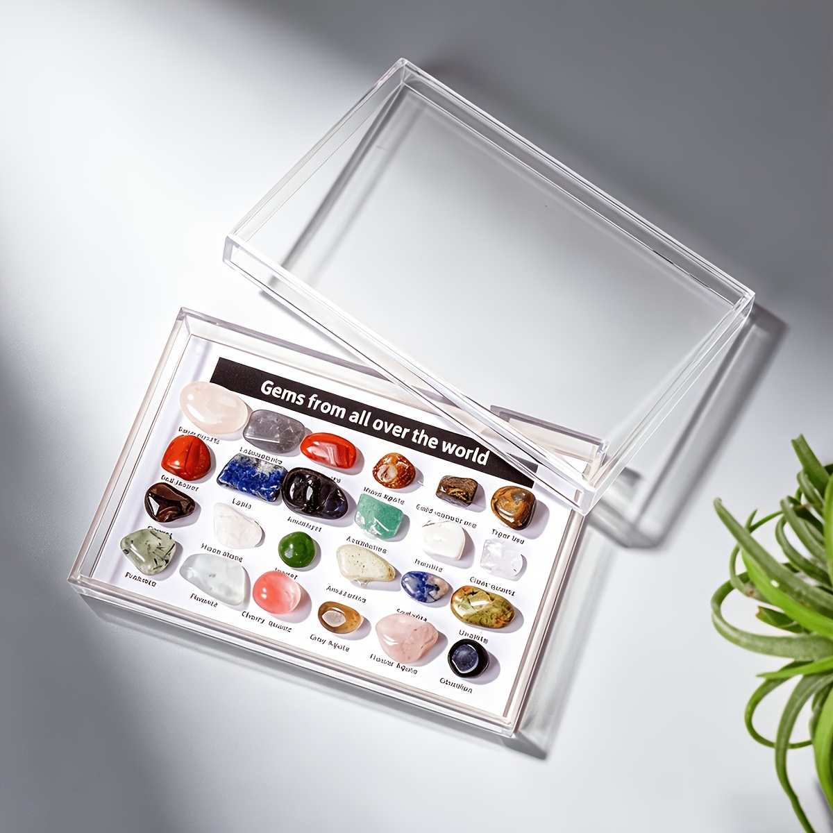 TEMU 24pcs/1box, Natural Polished Crystal Mineral Set, With Transparent Display Box With Mineral Name Labels, Convenient For Crystal Enthusiasts And