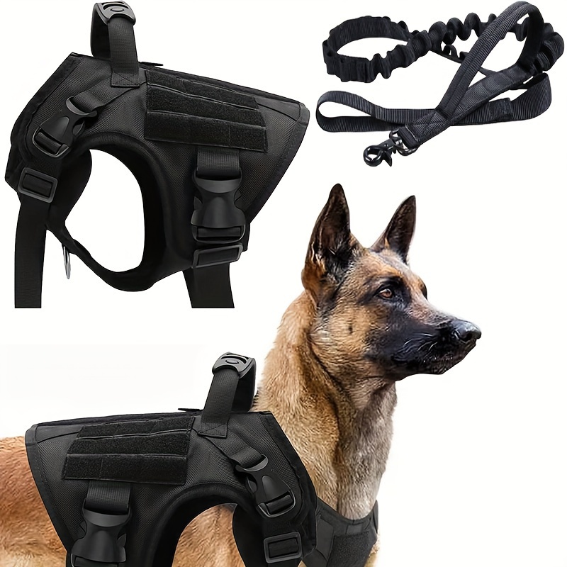dog vest k9 service dog training near me