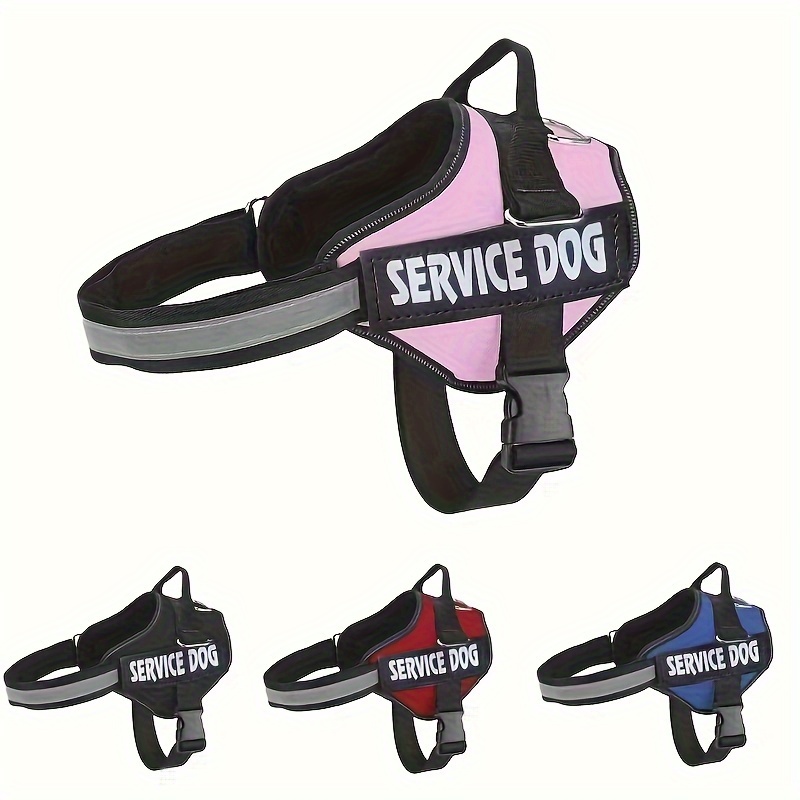 

- Harness With Letter Print - Polyester, Under 4ft Leash Compatible