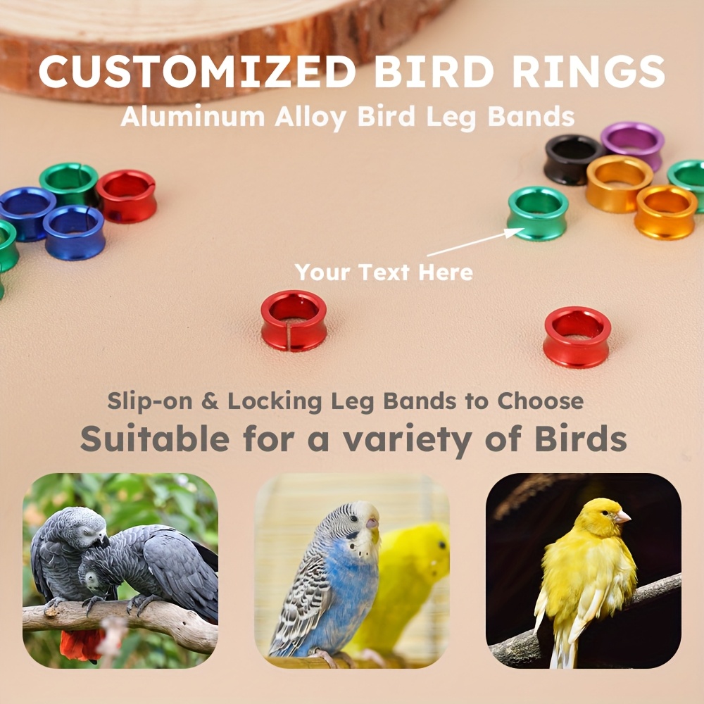 コレクションキング 5枚セット 非売品 Budgie Rings Assorted Peyote Bird Rings