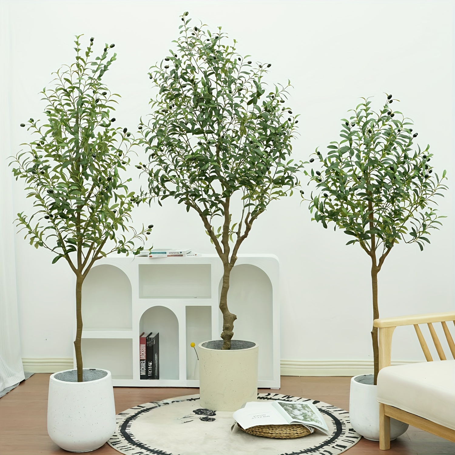 thuja plicata excelsa Arborvitae main image 1