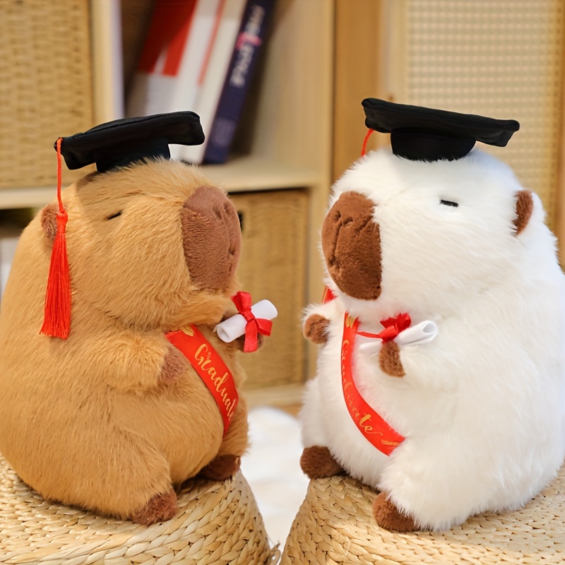 Graduation plush animals on sale