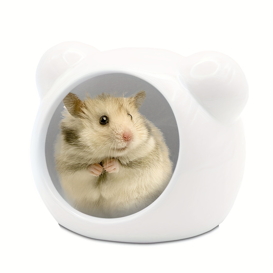 Mini dwarf hot sale hamster