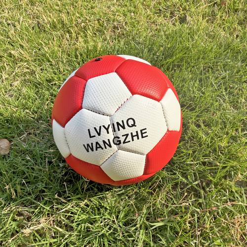 Handball, with a Diameter of 12.5Cm/4.92In, Suitable for Practicing And Playing Handball. a Perfect Gift for Your Son Or Daughter Who Playing Handball. The Size of a Palm, Compact And Adorable Handball with Pump