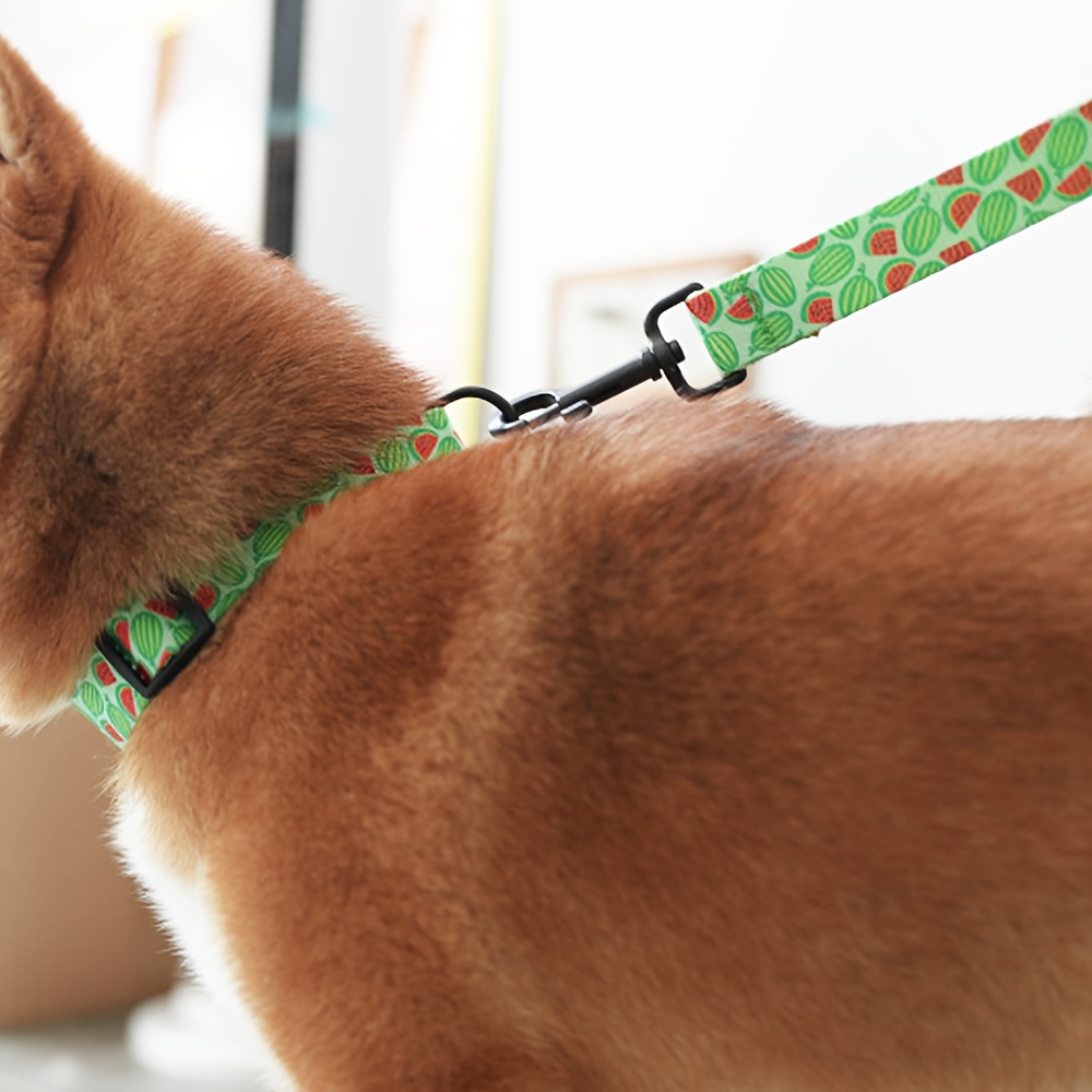 Adjustable Fruit Themed Pet Collar with Custom Name