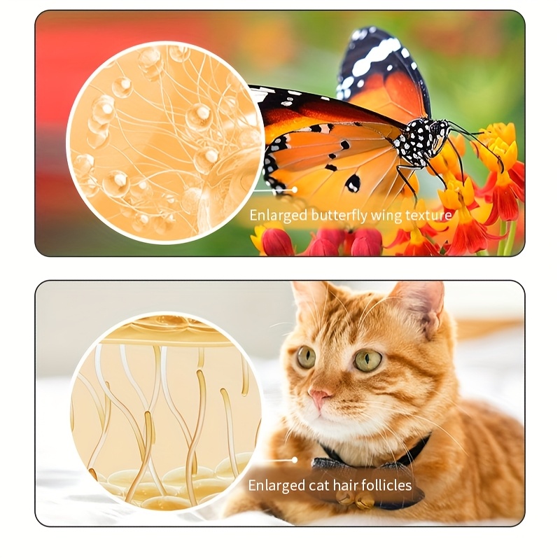 Microscopio Portátil 2-en-1 de Doble Función 3-10-80X con Luz LED Morada para Aventuras al Aire Libre, un Buen Regalo de Cumpleaños y del Día del Niño desde el Laboratorio a la Naturaleza