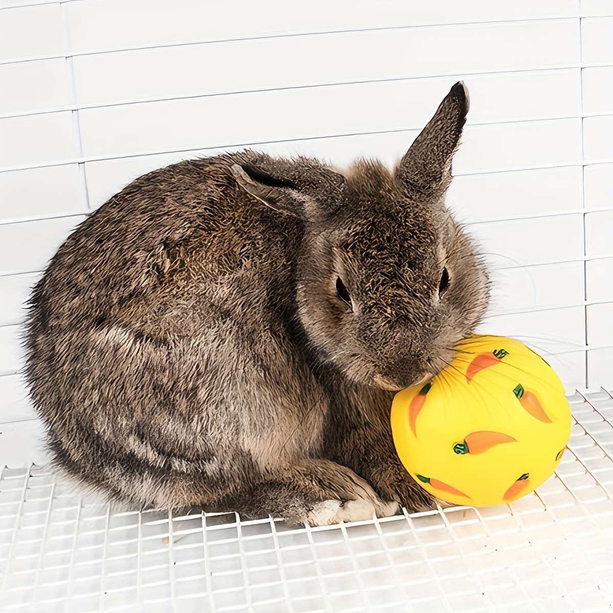 1pc/2pcs • Rabbit Carrot Treat Dispenser Ball • Random Color