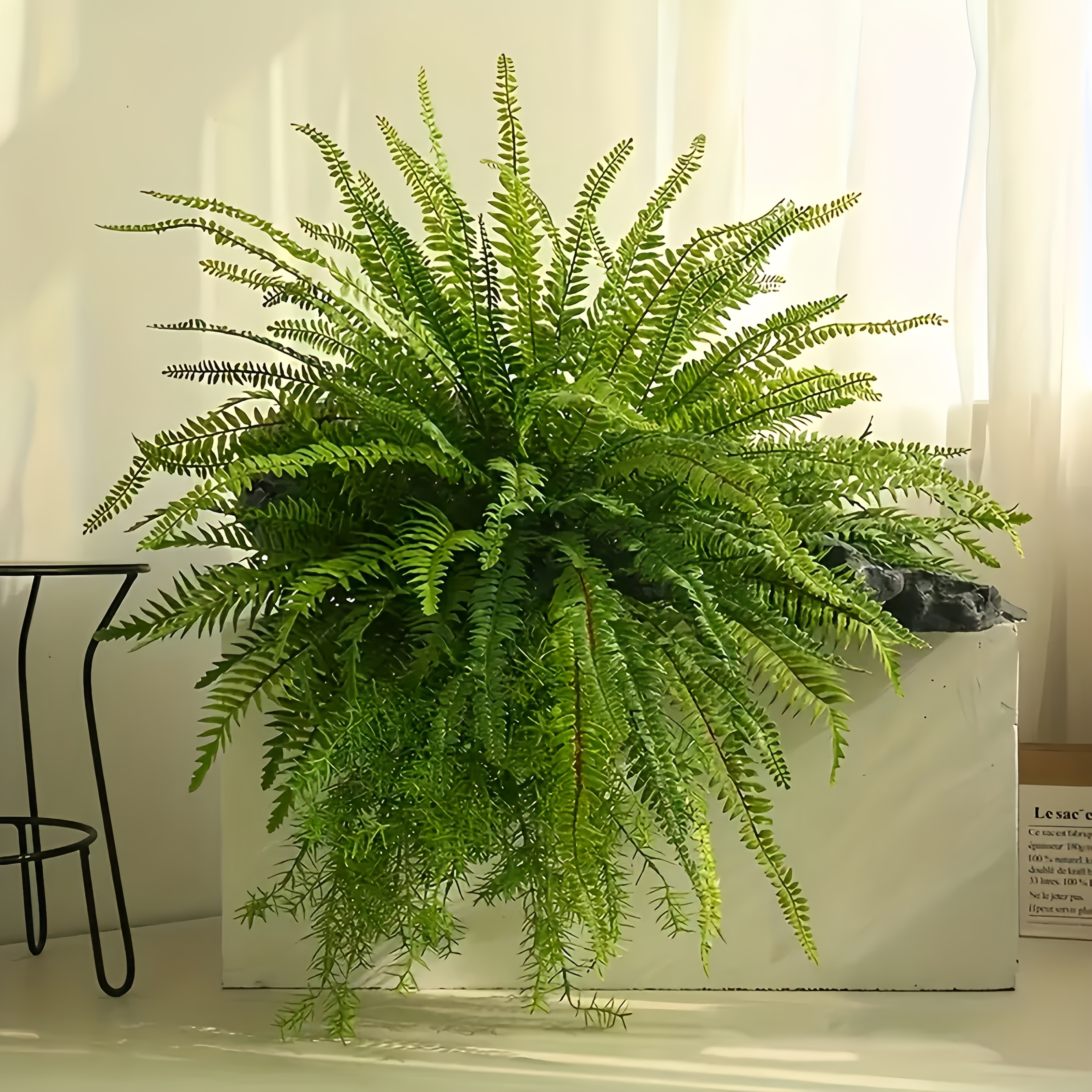 

3pcs Set Of Lifelike Artificial Boston Ferns - 22" Greenery For Home, Garden & Porch Decor | Thanksgiving, Day & Graduation