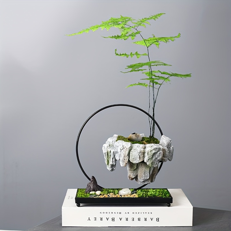 buy money plant Money Plant | Golden Pothos main image 1