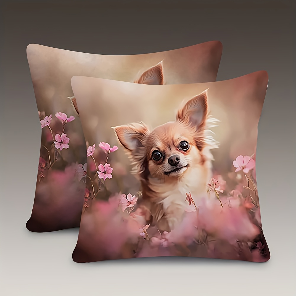 PRODUCTOS_ _POINT temu