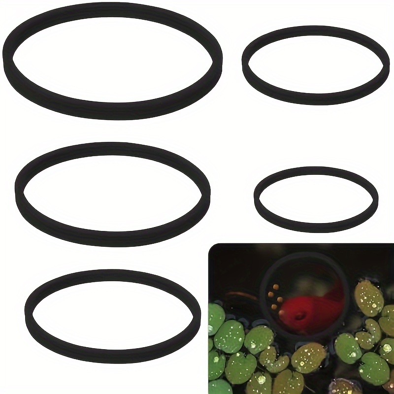 

5pcs Floating Aquarium Plant Rings, Eva Foam Fish Feeding Circle For Fish Tank, Black - Secure Floating Plants In Place