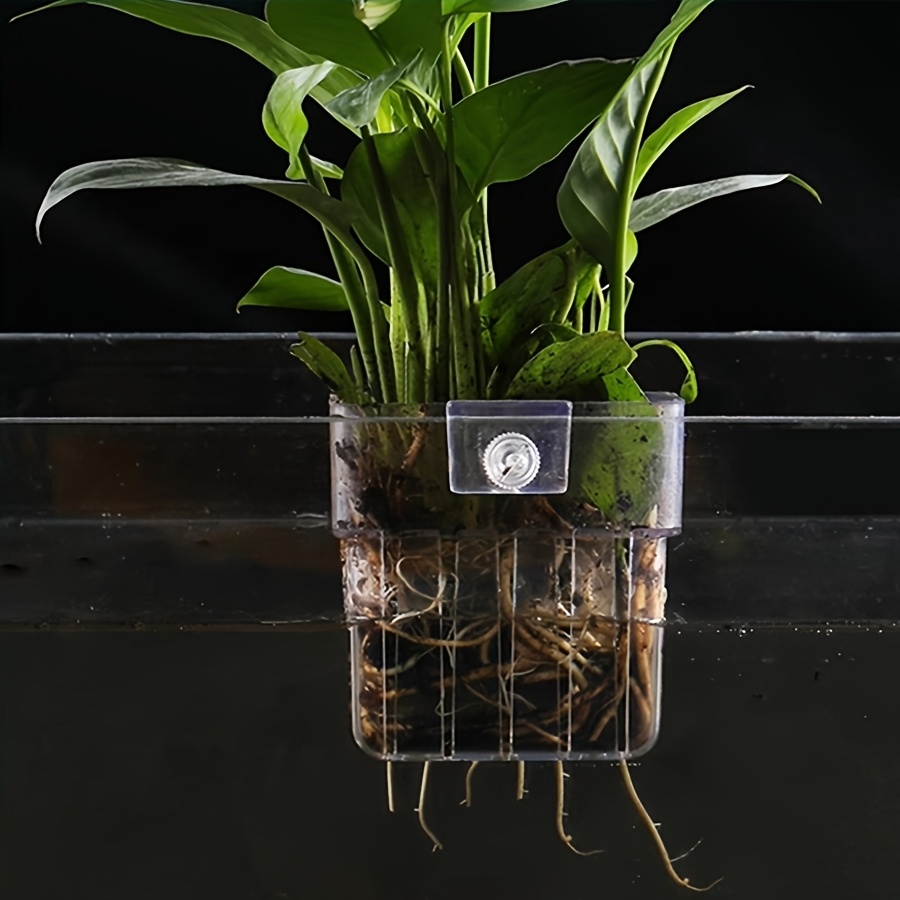 hanging aquarium planter cups wall mounted aquatic plants - Temu