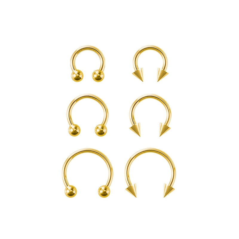 6pcs Stainless Steel Hoop Earrings & Nose Rings Set